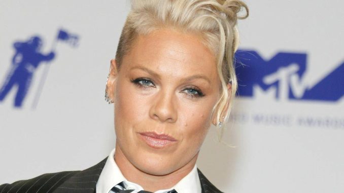 Pink: Star kontert fiesen Instagram-Kommentaren