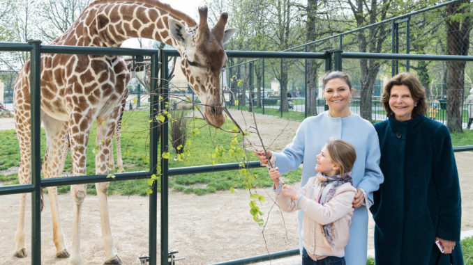 Prinzessin Victoria: Privater Wien-Trip mit Zoo-Besuch und "Schwedenbombe"